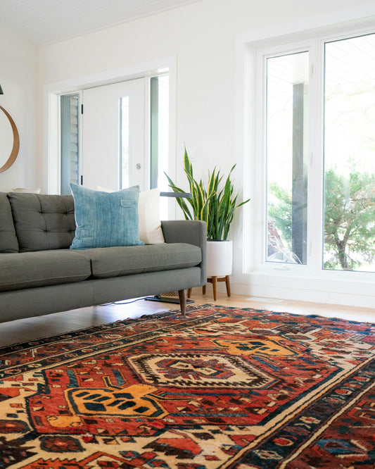 Living room with a sofa and a patterned area rug