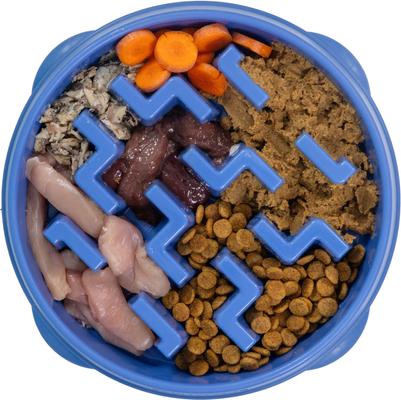 Outward Hound Fun Feeder Slow Feeder Dog Bowl