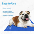 Pressure-Activated Dog Cooling Mat