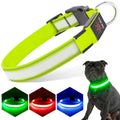 LED Rechargeable Safety Dog Collar Light-Up Night Walking