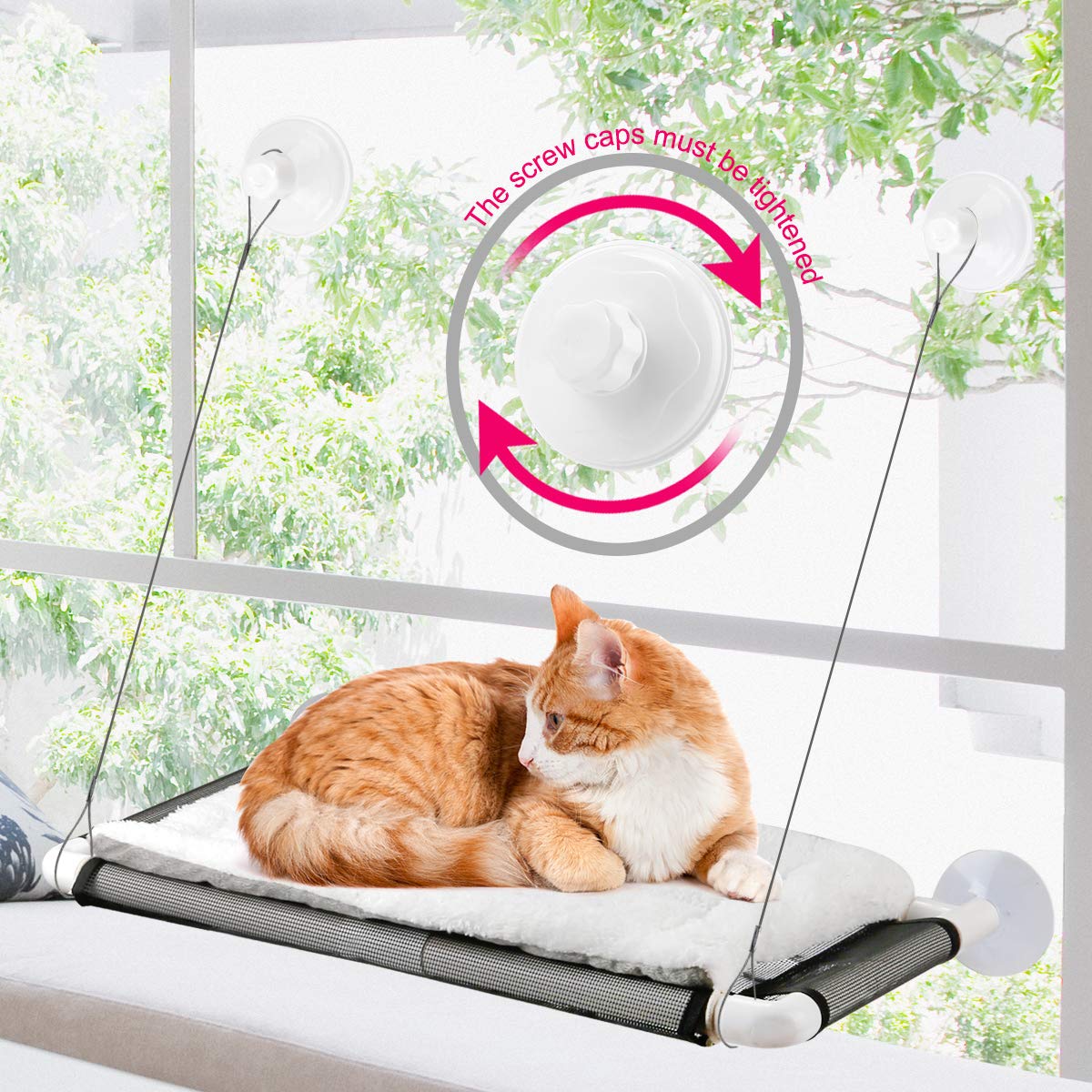 Cat Window Perch Hammock Suction Cup Mount