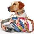Custom Engraved Pet ID Collar
