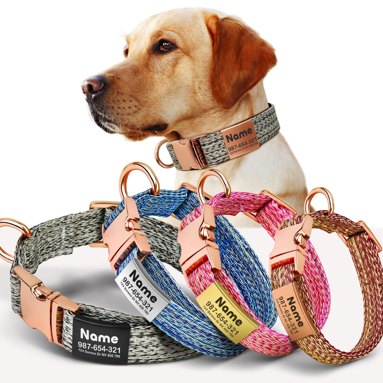 Custom Engraved Pet ID Collar