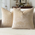 Velvet Throw Pillow Covers 2-Pack Decorative Cushion Covers 18x18