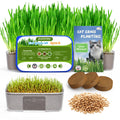 Cat Grass Growing Kit 3-Pot Grow Set