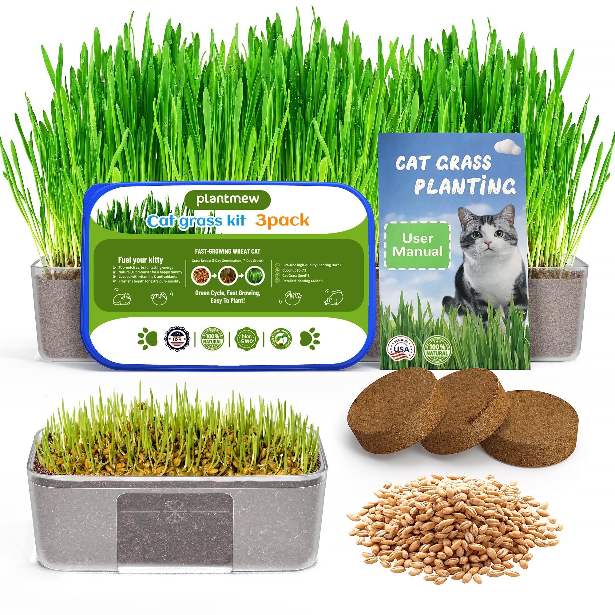 Cat Grass Growing Kit 3-Pot Grow Set