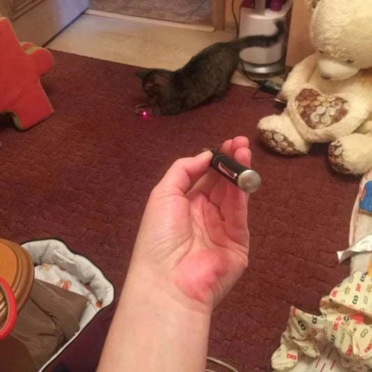 Interactive Pet Laser Pointer — LED Flashlight Cat Toy