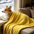Pet calming blanket dog anxiety relief