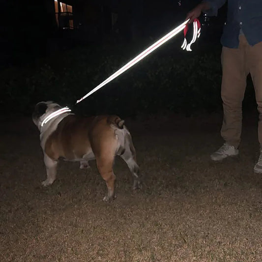 Reflective Pet Leash — Night-Safety Training Lead for Dogs & Cats