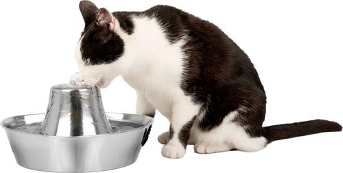 PetSafe Seaside Stainless Steel Cat Water Fountain