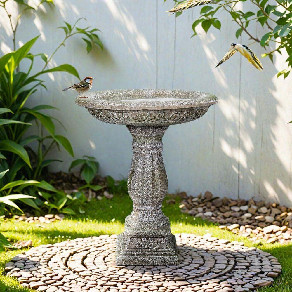 Watnature Cement Outdoor Bird Bath with Pedestal